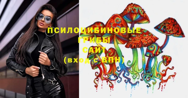 не бодяженный Алзамай